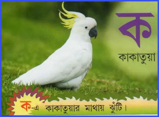 এসো শিখি-বর্ণমালা android App screenshot 3